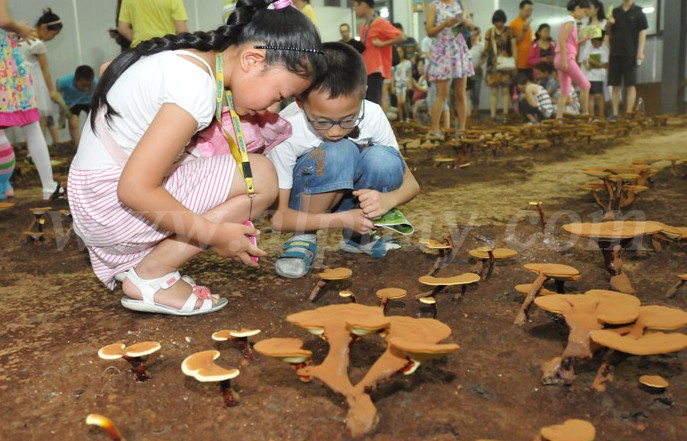 專(zhuān)題報(bào)道