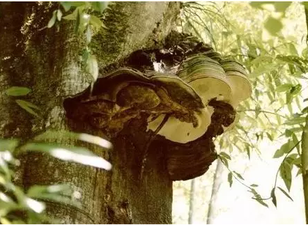 圖片關鍵詞 圖片關鍵詞