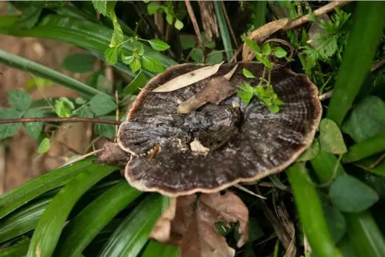 圖片關鍵詞 圖片關鍵詞