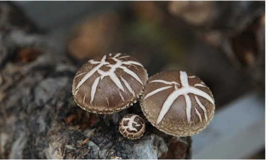 圖片關鍵詞 圖片關鍵詞