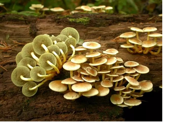 圖片關(guān)鍵詞 圖片關(guān)鍵詞