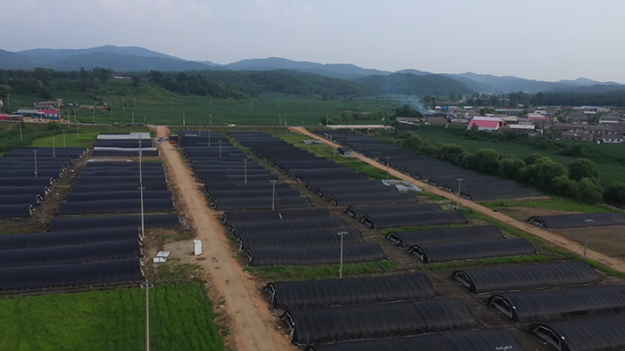 圖片關鍵詞 圖片關鍵詞