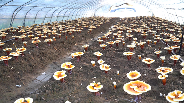 圖片關鍵詞 圖片關鍵詞