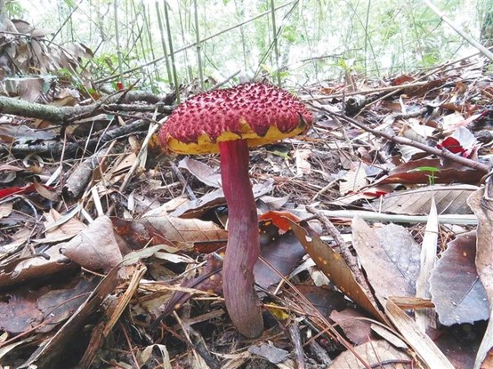 圖片關鍵詞 圖片關鍵詞