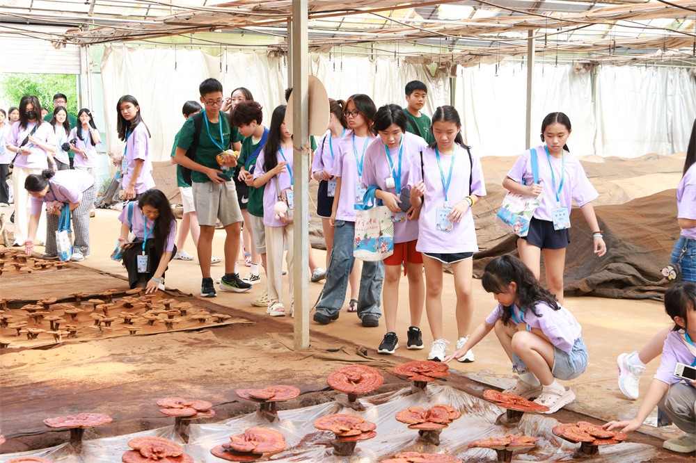圖片關鍵詞 圖片關鍵詞