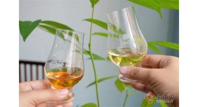 行業(yè)動(dòng)態(tài)